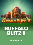 Buffalo Blitz II